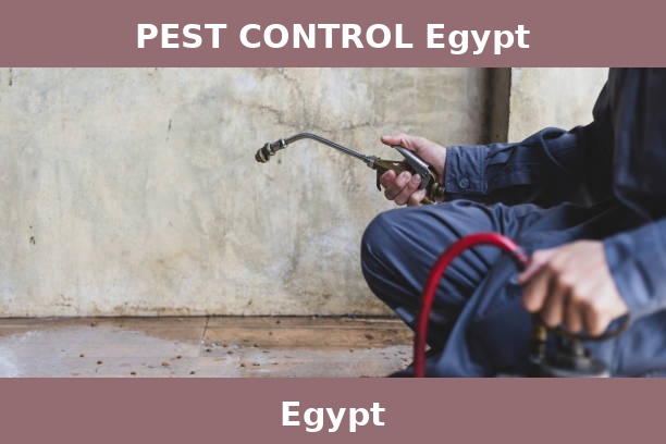 PEST CONTROL Egypt